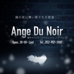 Ange Du Noir